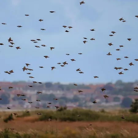 Hørby Færgekro Holbæk